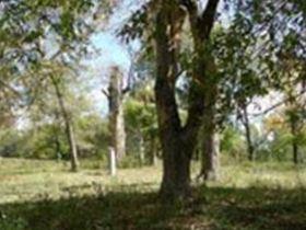 Wessyngton Slave Cemetery on Sysoon