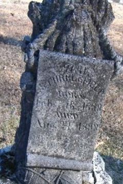 W. H. Stubblefield on Sysoon