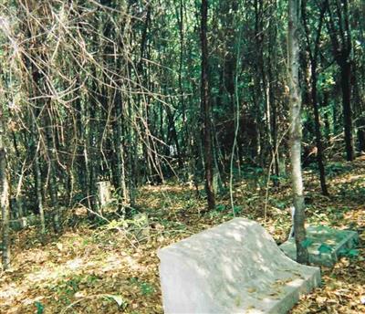 Whigham Cemetery on Sysoon