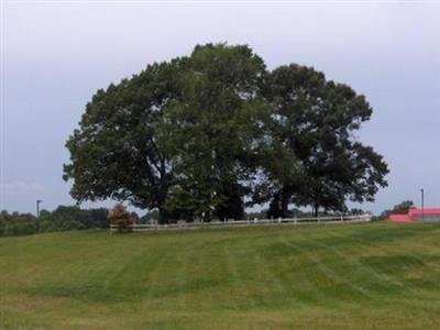 White Cemetery on Sysoon