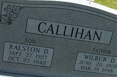 Wilbur D Callihan on Sysoon