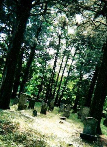 Wilds Cemetery on Sysoon