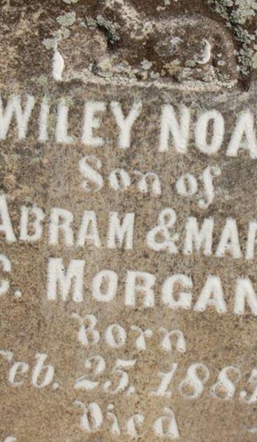 Wiley Noah Morgan on Sysoon