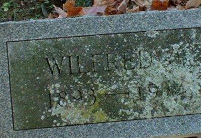 Wilfred J Unknown on Sysoon
