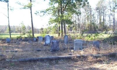 Wilkins - Walker Cemetery on Sysoon