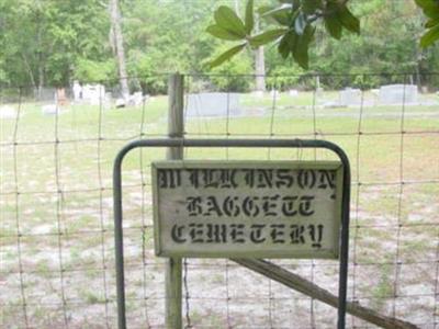 Wilkinson-Baggett Family Cemetery on Sysoon