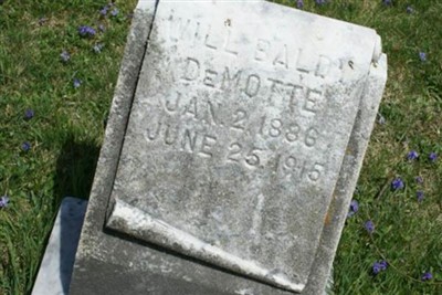 Will Baldy DeMott on Sysoon