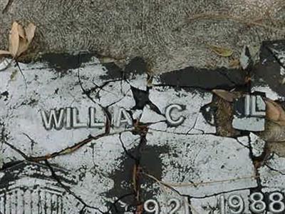 Willa C. WILLIAMS on Sysoon