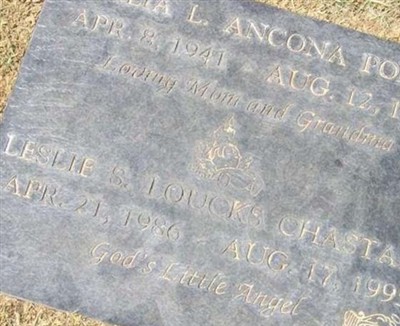 Willia L Ancona Poltes on Sysoon