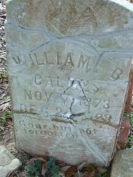 William B Calmes on Sysoon