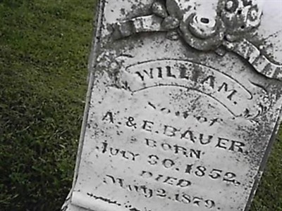 William Bauer on Sysoon