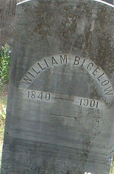William Bigelow on Sysoon