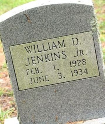 William D. Jenkins, Jr on Sysoon
