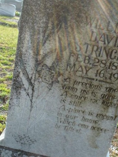 William David Stringer on Sysoon