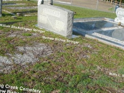 William Ella Lou Arrington Stringer on Sysoon