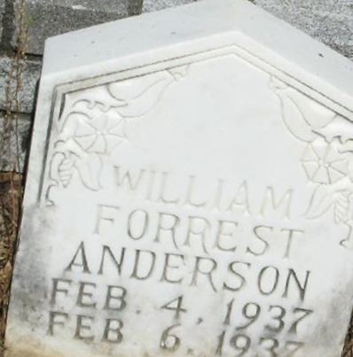 William Forrest Anderson on Sysoon
