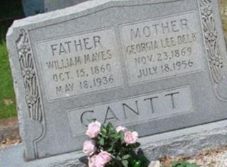 William Mayes Gantt on Sysoon