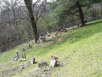 William McGinnis Cemetery on Sysoon