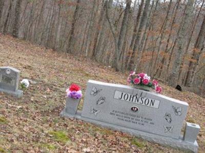 William Meeks Johnson Cemetery on Sysoon