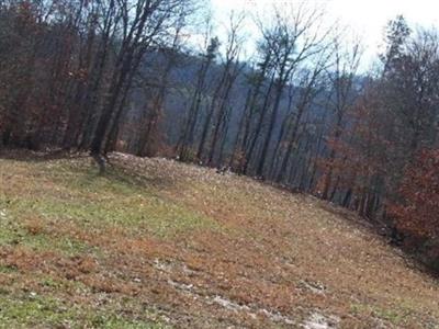 William Meeks Johnson Cemetery on Sysoon