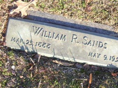 William R Sands on Sysoon