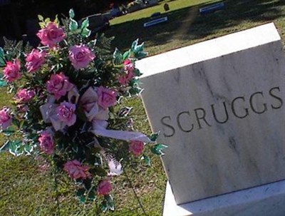 William Swaim Scruggs on Sysoon