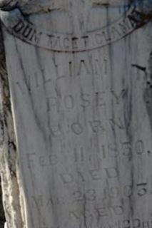William T. Posey on Sysoon