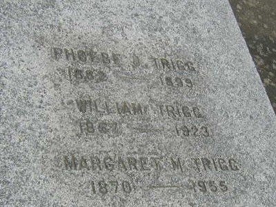 William Trigg on Sysoon