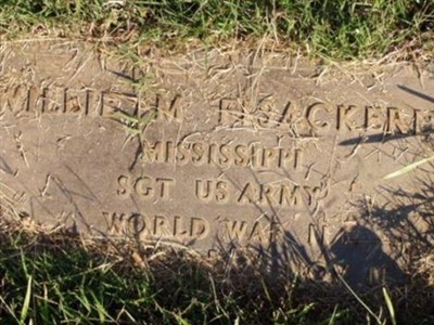 Willie M Fisackerly on Sysoon