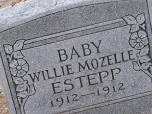 Willie Mozelle Estepp on Sysoon