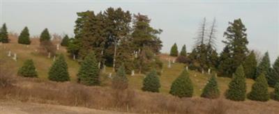 Willow Township Cemetery on Sysoon