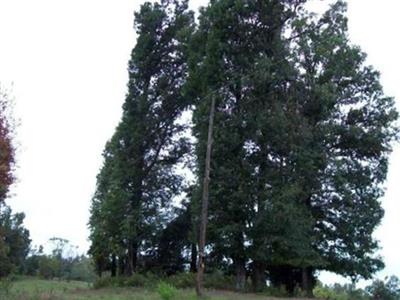 Wilson Cemetery on Sysoon