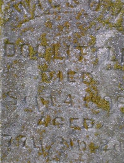 Wilson Doolittle on Sysoon