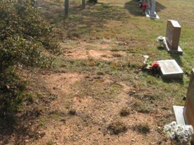 Wilson Family Cemetery-Churchland on Sysoon