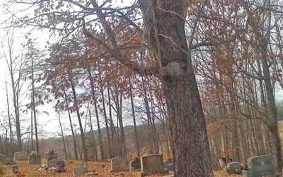 Wilson Primitive Baptist Church Cemetery on Sysoon