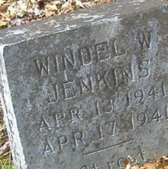 Windel W. Jenkins on Sysoon