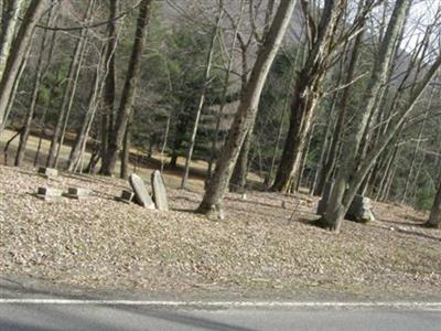 Winne Family Burial Ground on Sysoon