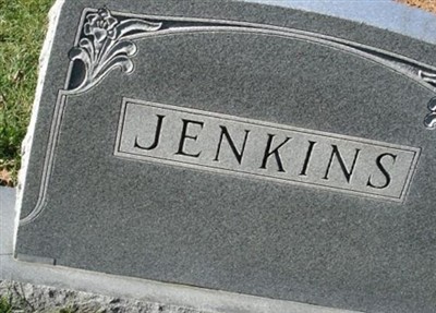 Woodrow W. Jenkins, Jr on Sysoon
