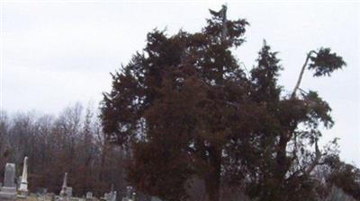 Worden City Cemetery on Sysoon