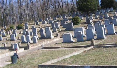 Workman's Circle Cemetery on Sysoon