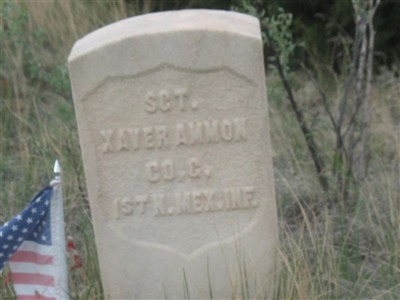 Xavier Amman on Sysoon
