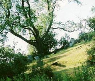 Yale Cemetery on Sysoon