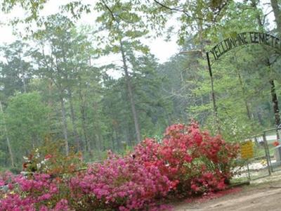 Yellowpine Cemetery on Sysoon