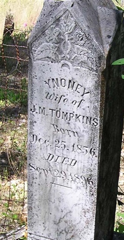 Yononey Tompkins on Sysoon