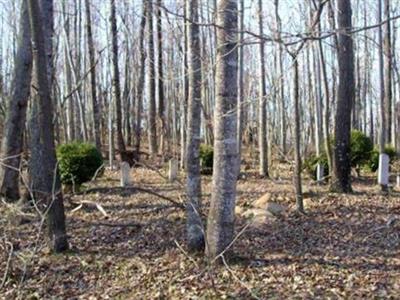 Younger Cemetery on Sysoon