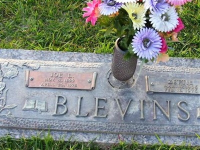 Zettie Blevins on Sysoon