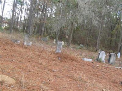 Zion Branch Cemetery on Sysoon