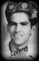 Alexander G Amaya