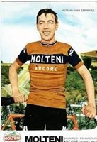 Herman Van Springel