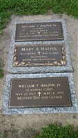 William T Halpin, Sr
